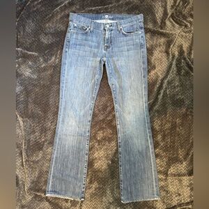 7 For All Mankind Light Blue flare